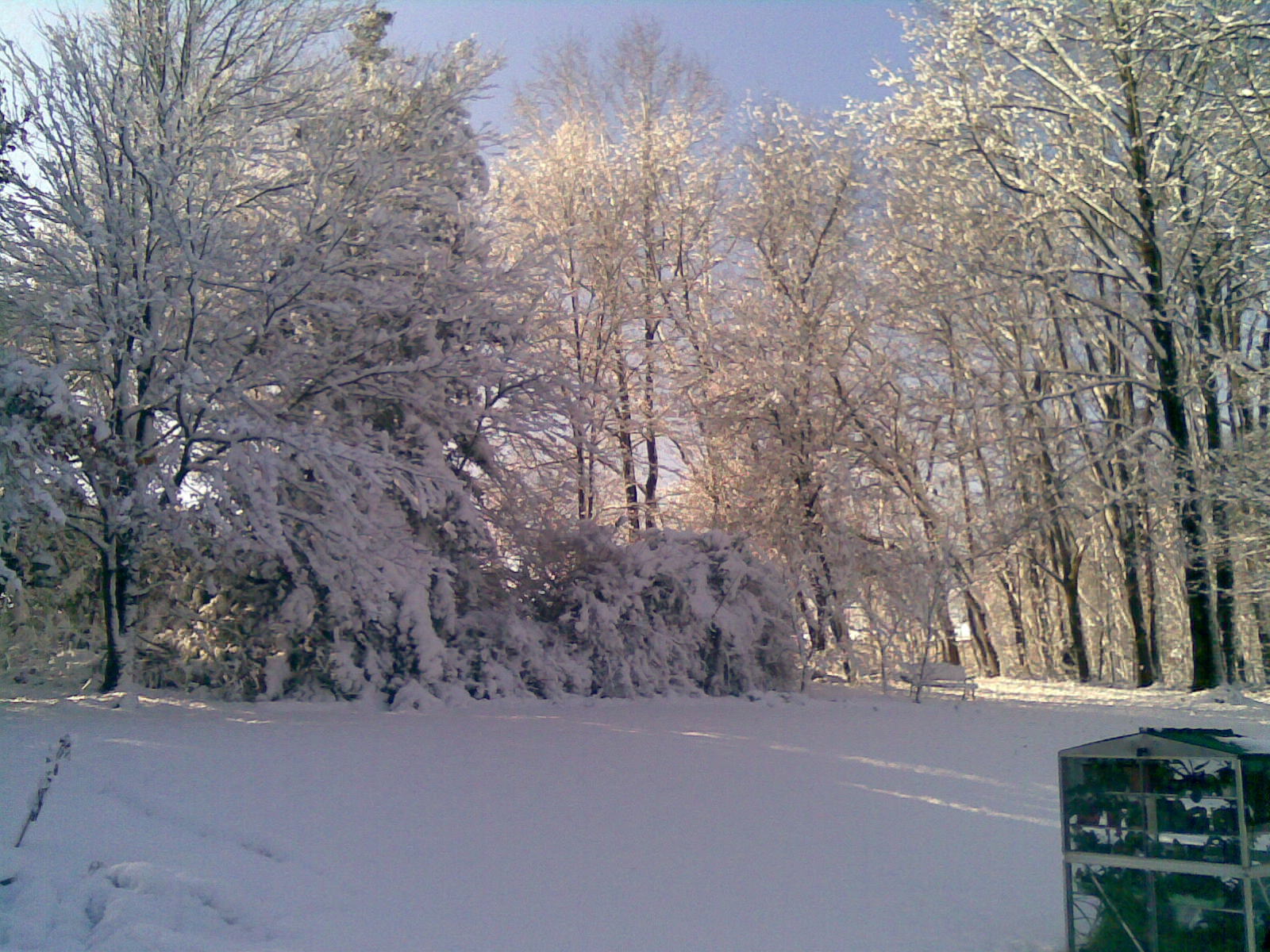 pretty snow